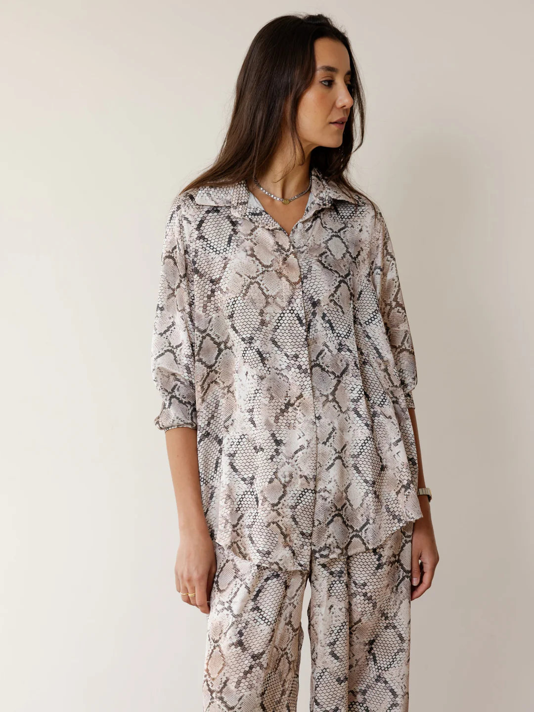Lizard Set - Ascia