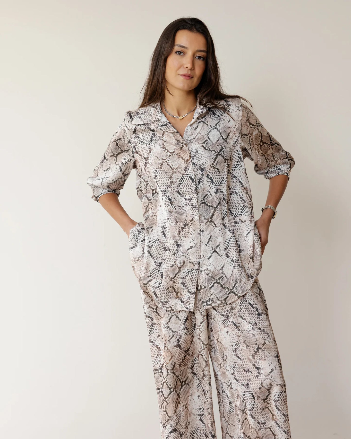 Lizard Set - Ascia