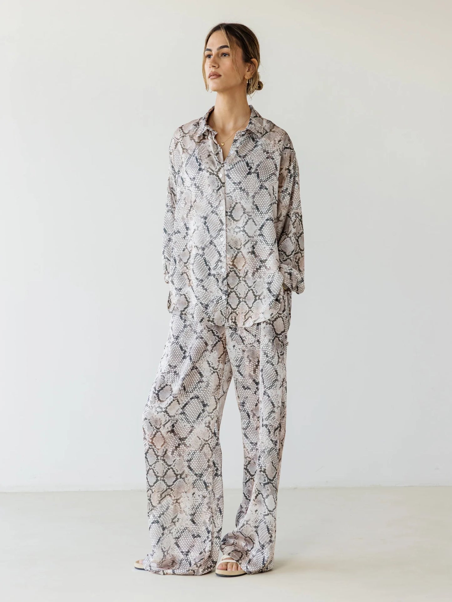 Lizard Set - Ascia