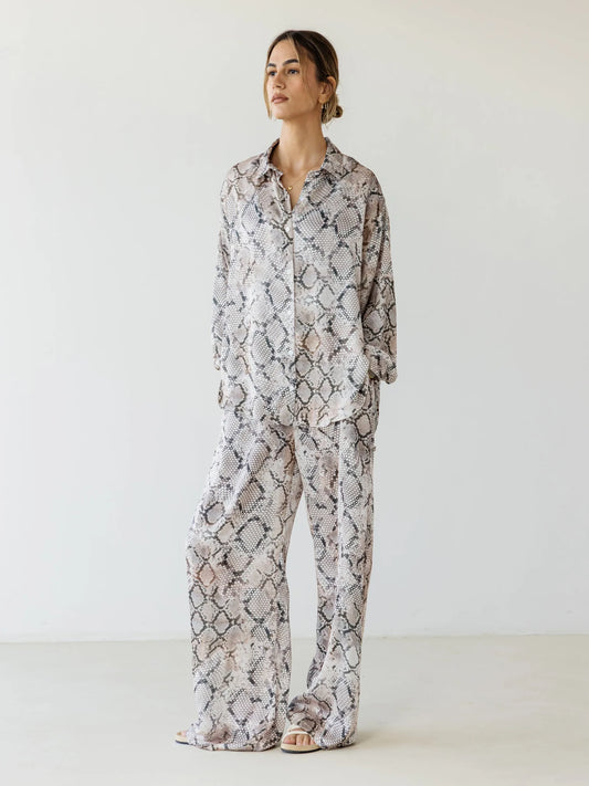 Lizard Set - Ascia