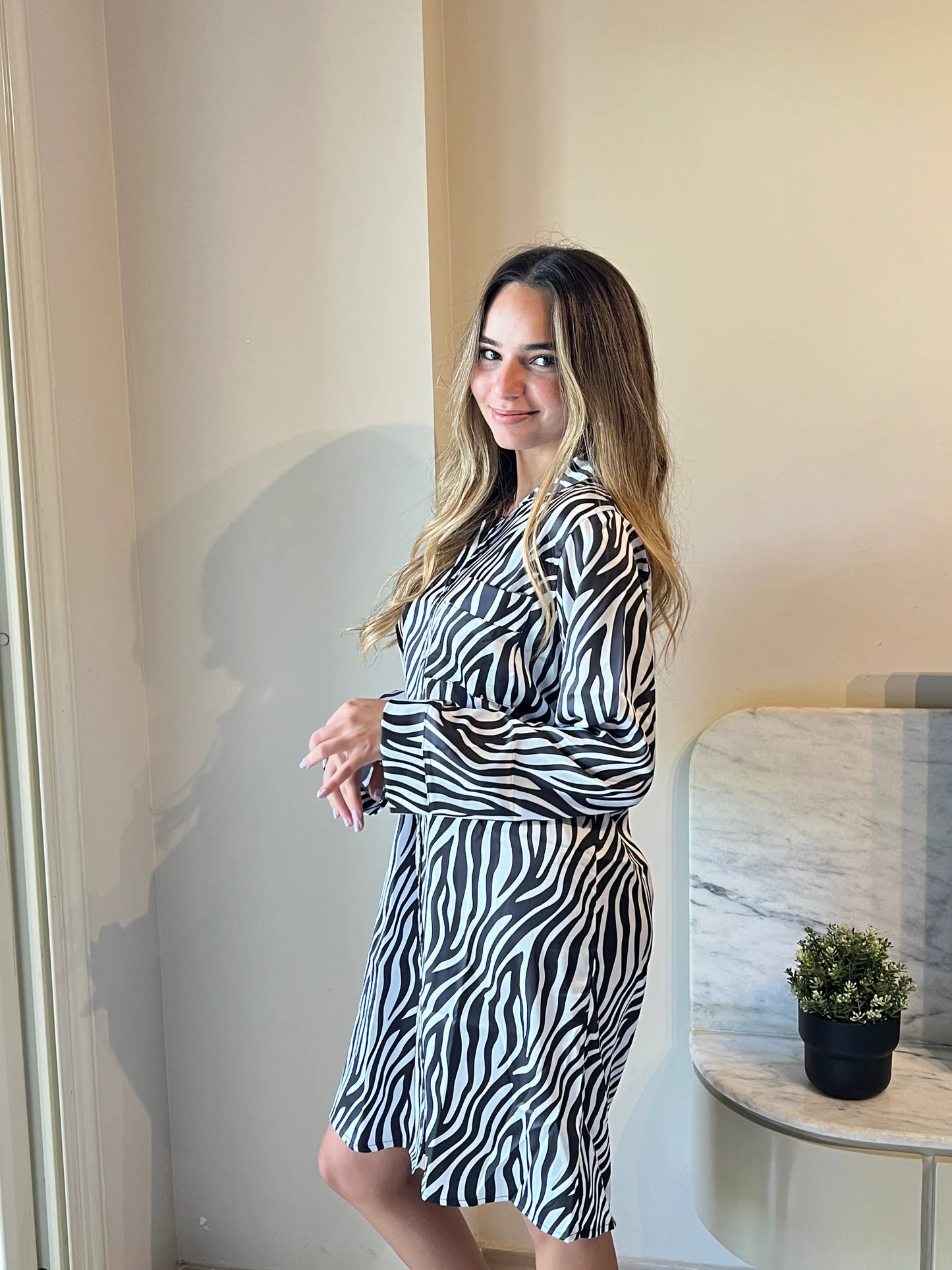 Zebra satin shirt dress - Chummy