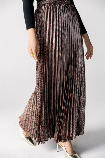Sparkling pleated skirt - chiffon